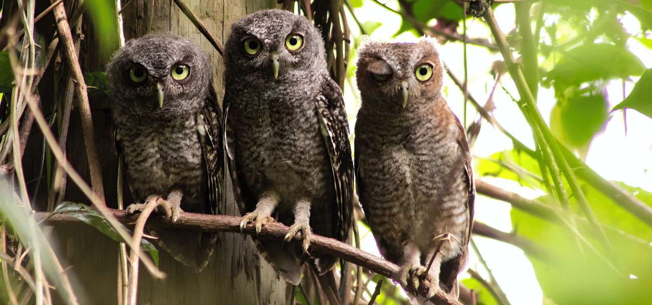 InflexionGroup_7stepsEEP_1280x660