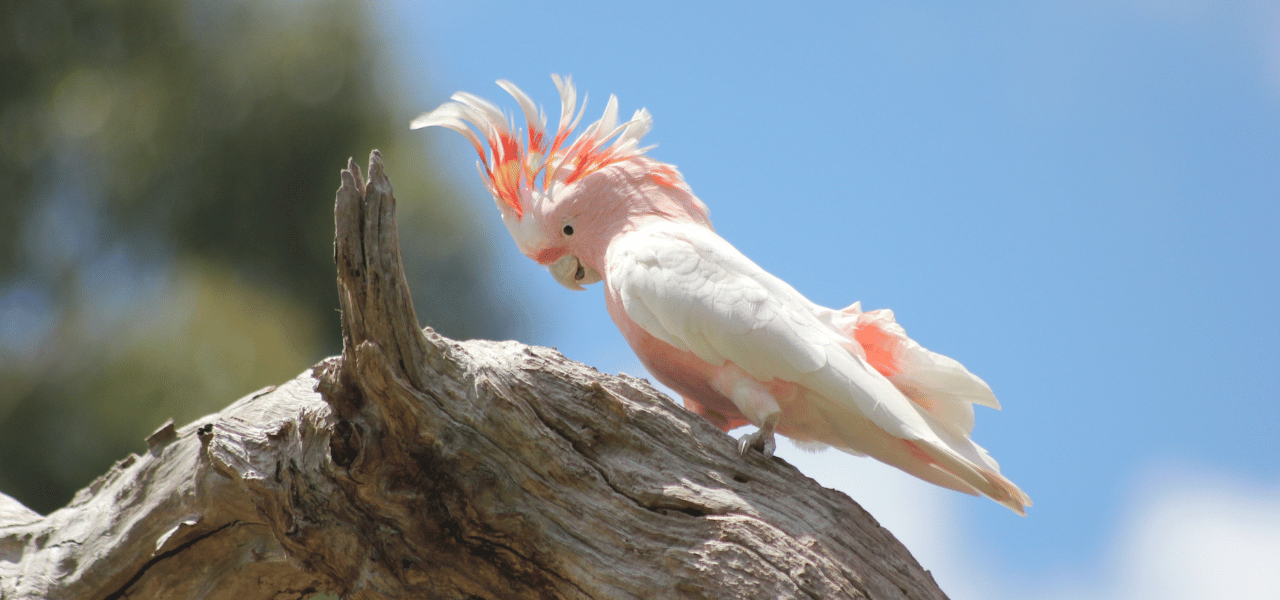 InflexionGroup_Getting to know your ABM account_220623_1280x600