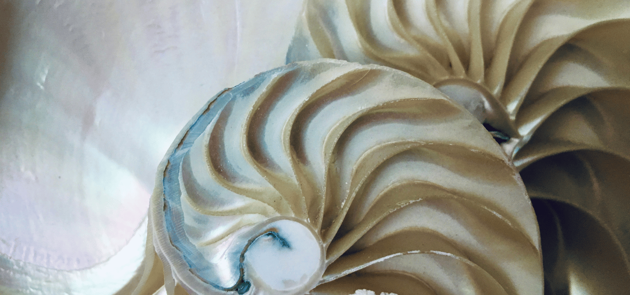 Inflexion Group CustomerSuccessblog010823_1280x600