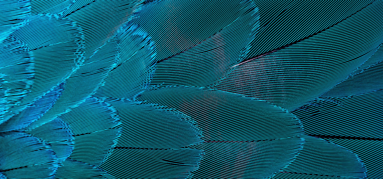 Inflexion Group_CustomerHealthblog_1280x600