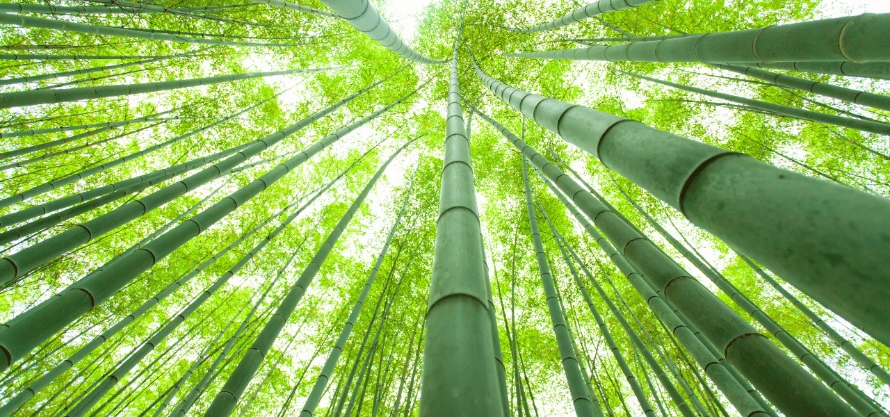 Inflexion Group deepens strategic partnership with B2B Marketing