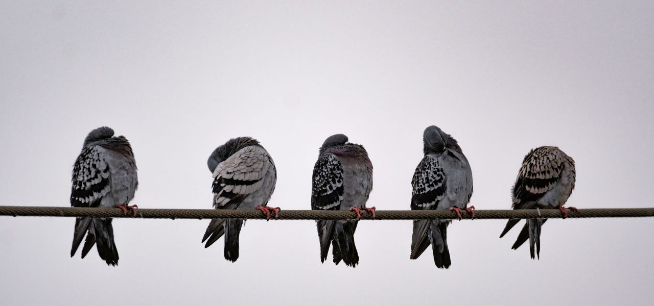 IFG_MH_AIinABMarticle