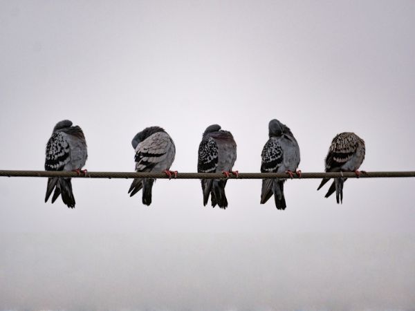 IFG_MH_AIinABMarticle