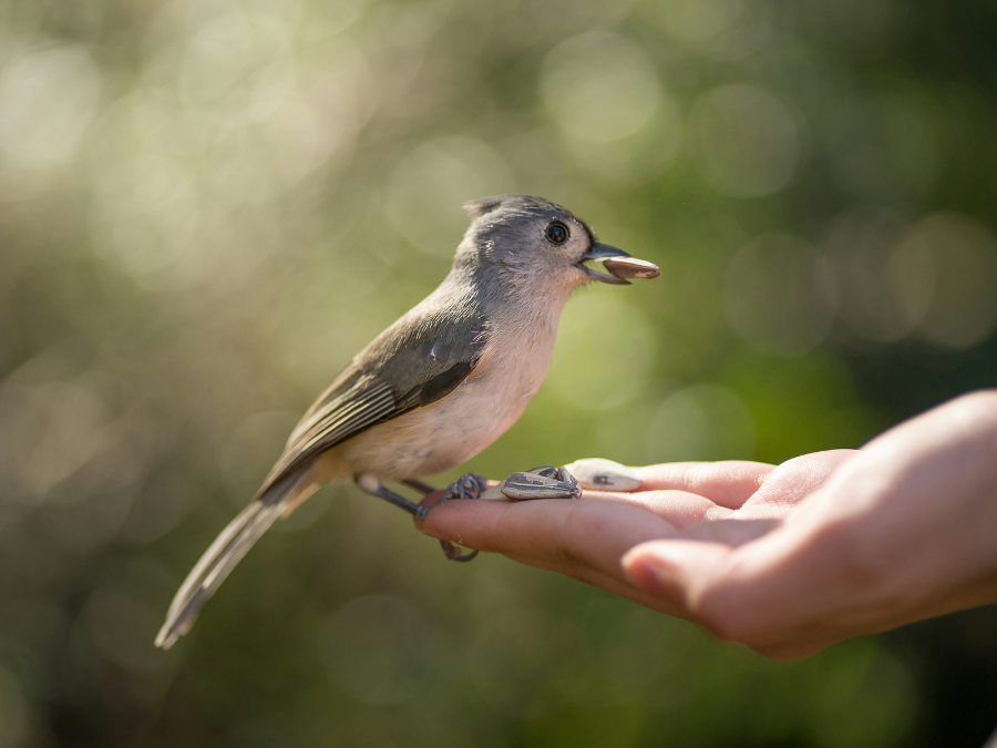 IFG_TS_TrustedRelationships