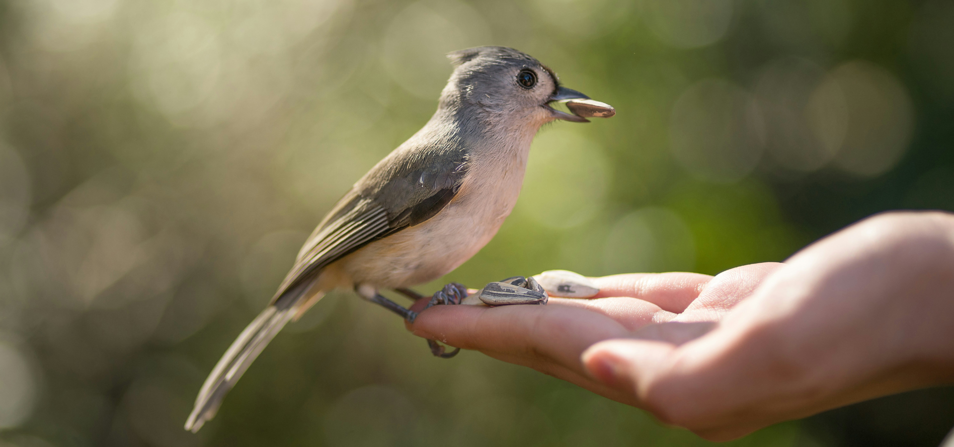 IFG_TS_TrustedRelationships