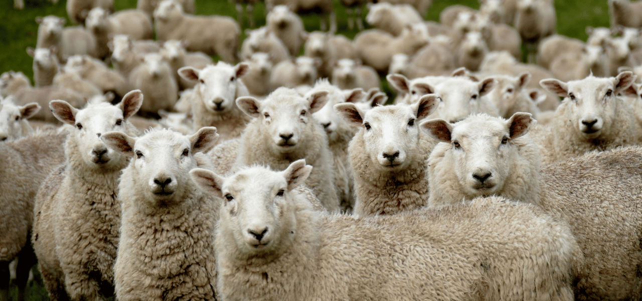 Inflexion Group Don't be overwhelmed by the ABM options