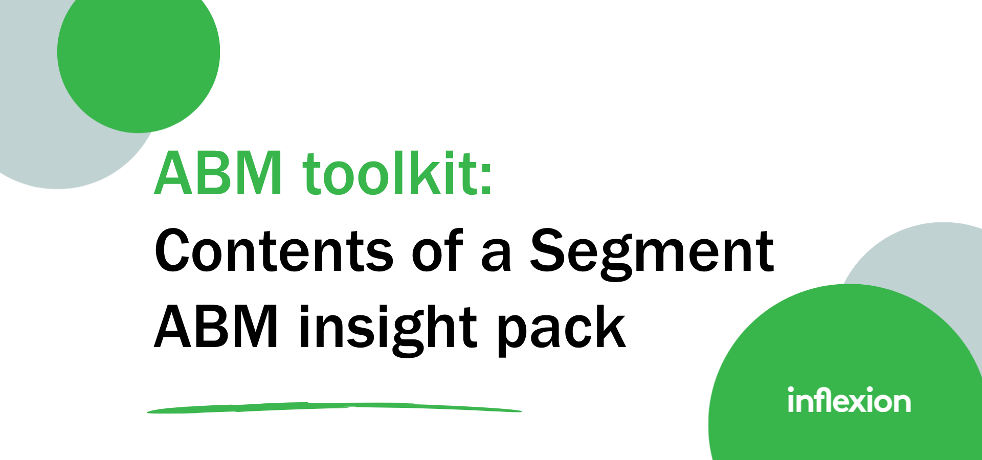 ABM-er's Toolkit, Contents of a Segment ABM Insight Pack